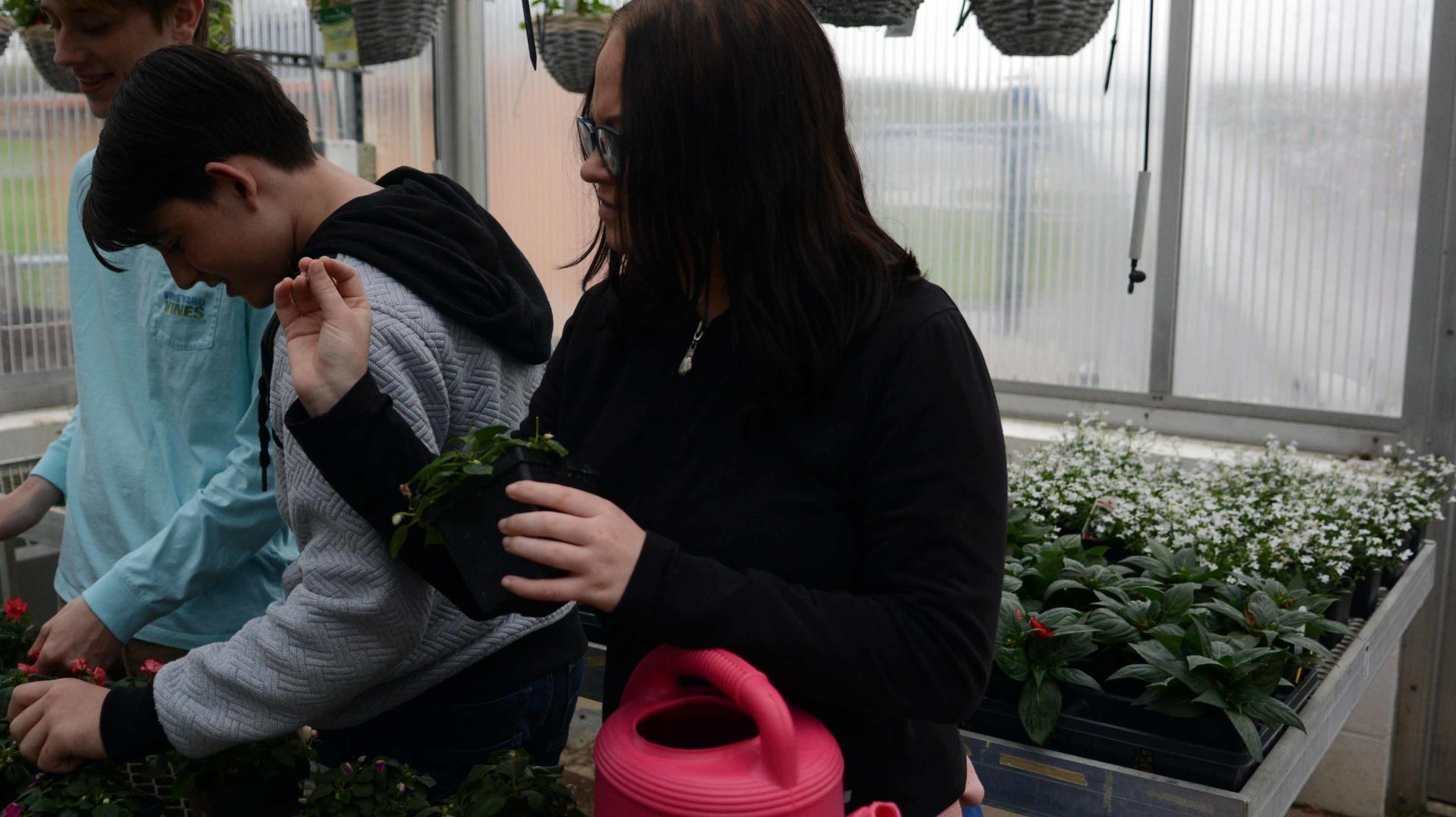 Baraboo High School students prepare for annual plant sale
